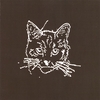 CALICO: Calico