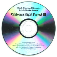 California Flight : California Flight Project 3