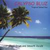 CALYPSO BLUZ: Calypso Bluz