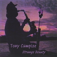Tony Campise : Strange Beauty