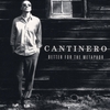 CANTINERO: Better For The Metaphor