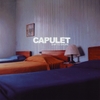 CAPULET: Ship to Shore