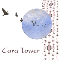 CARA TOWER: And Then...There is a Bridge