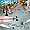 Cardboard Lamb: Don