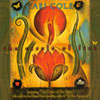 CARI COLE: Circle of Fire, music inspired by The Four Agreements, by don Miguel Ruiz