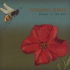 CARLEIGH NESBIT: Flower to the Bee