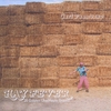 CARL PANNUZZO: Hay Fever