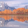 CARL PERRY: Sounds From My Soul