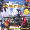 THE CARNIVAL STEEL DRUM BAND: Fins and More Jimmy Buffett Favorites