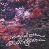 CASEY FALLEN: Orbis Pictus