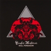 CASKET ARCHITECTS: Skull Persuasion