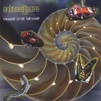 CatDesigners : Strange Little Creature