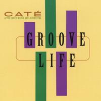 Cate & The Funky World Soul Orchestra : Groove Life