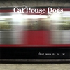 Cat House Dogs: That Was Now
