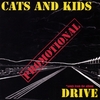 CATS AND KIDS: Drive