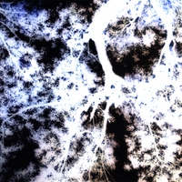 Caustic Reverie : Stochastic Resonance