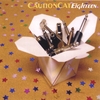 CAUTION CAT: Eighteen