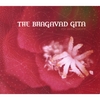 NINA SHAKA: The Bhagavad Gita (Mascaro)