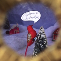 Courtney Collins and Jeremy Ylvisaker with J.T. Bates and Michael Lewis : Welcome To Christmastown