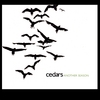 CEDARS: Another Season