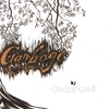 CEDARWELL: Gamboge