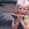 CELESTE KRENZ: Beautiful Soup