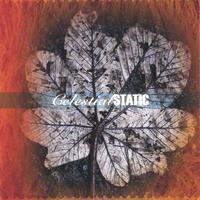Celestial Static : Between Chaos and Melody