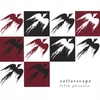 CELLARSCAPE: Fifth Phoenix