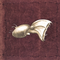 CEPHALOPOD CREATOR MYTH: Second Coming