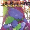 CERBERUS: Lava Tubes