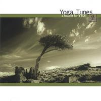 Michael Cerda : Yoga Tunes Volume II