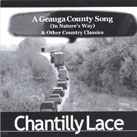 CHANTILLY LACE: A Geauga County Song
