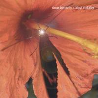 CHAOS BUTTERFLY + BIGGI VINKELOE: Live at Studio Fabriken