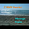 Charanga Pasion: I Will Survive