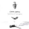 CHARLES ANTHONY: Decisions 3rd Dimension