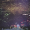 CHECKSUM: grey ghost