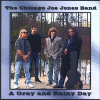 A Gray and Rainy Day by Chicago Joe Jones