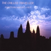 THE CHILLED TRAVELLER: Pockets in a mad Suit - Vol 1