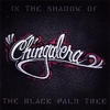 CHINGALERA: In The Shadow Of The Black Palm Tree