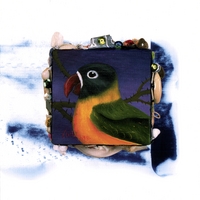 Chris Becker : 200 Birds