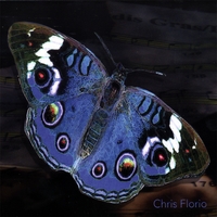 Chris Florio : Butterfly/Gymsock