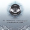 CHRISTOPHE GOZE: Turning Inside
