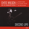 CHRIS WILSON: Second Life