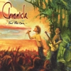 Chronicle: Feel This One
