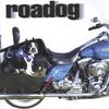 ROADOG: Roadog