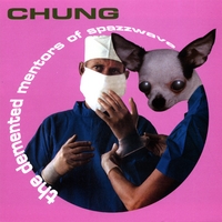 Chung : the demented mentors of spazzwave