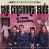 THE CINCINNATI SUDS: In Your Bedroom