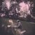 CINEPLEXX: Picnic