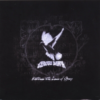 Circus Dawn : Between The Lines Of Gray