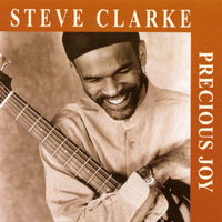STEVE CLARKE: Precious Joy